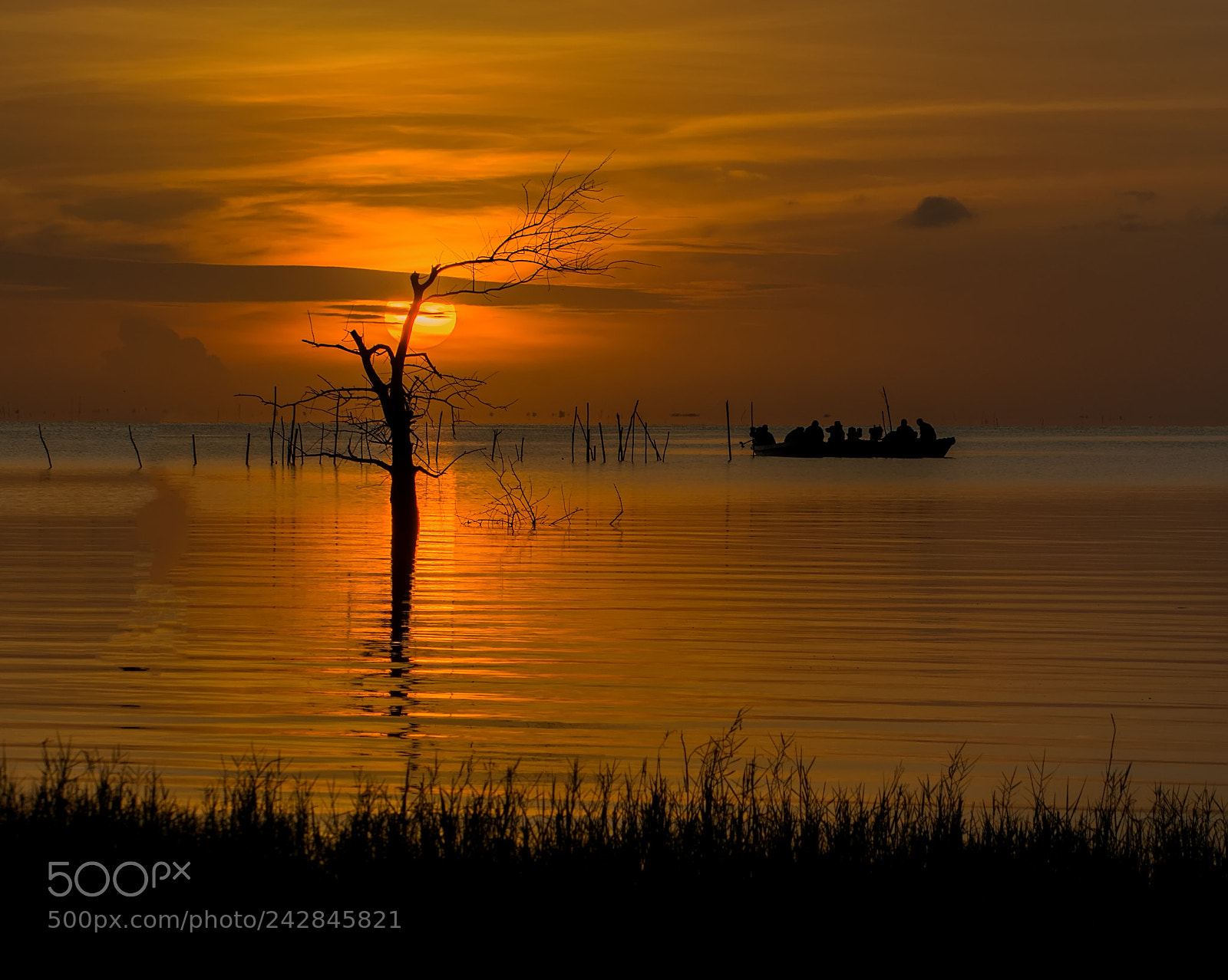 Nikon D7100 sample photo. Silhouette of death tree photography
