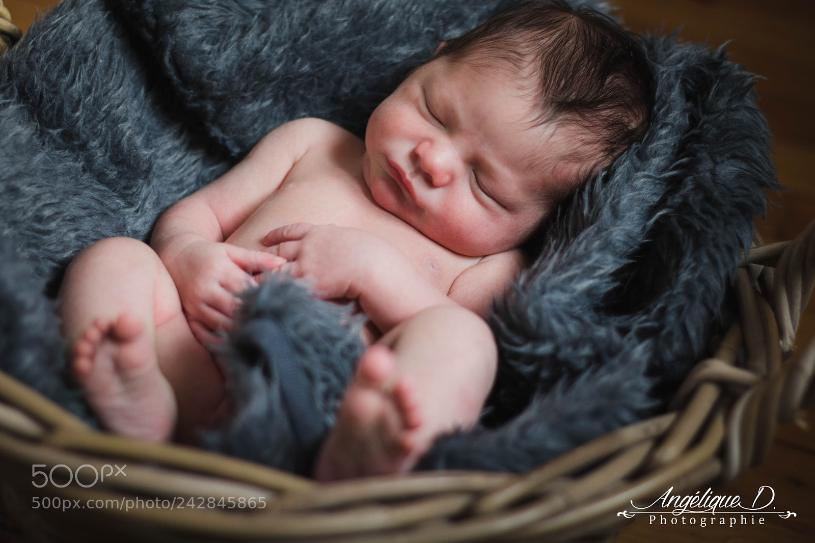 Canon EOS 760D (EOS Rebel T6s / EOS 8000D) sample photo. Dorian photography