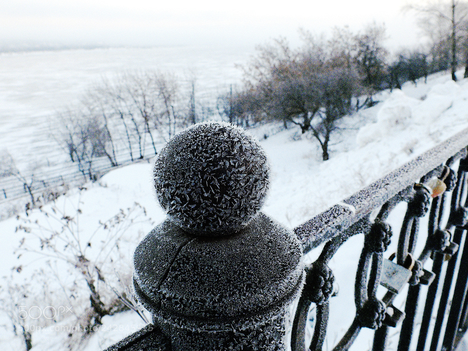 Fujifilm X20 sample photo. Мороз frost photography