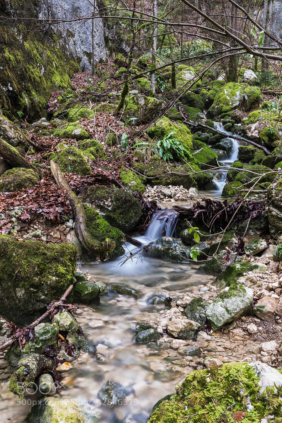 Nikon D610 sample photo. Wasser photography