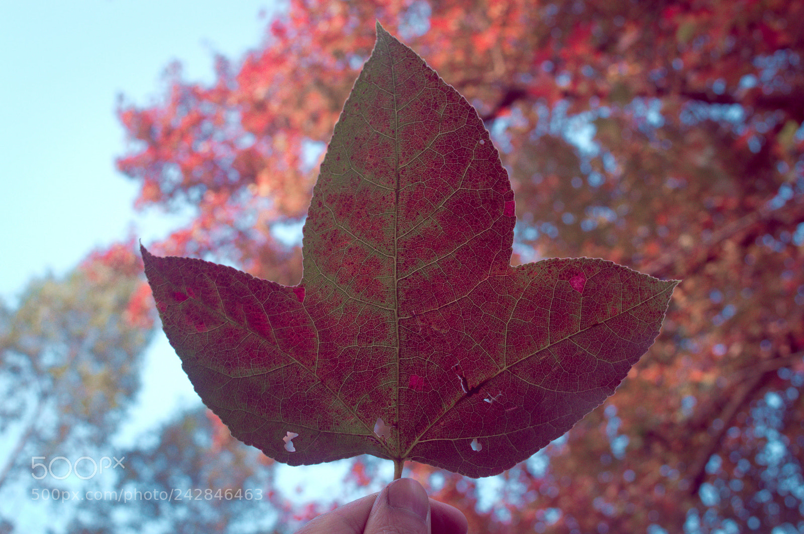Nikon D3200 sample photo. Untitled photography