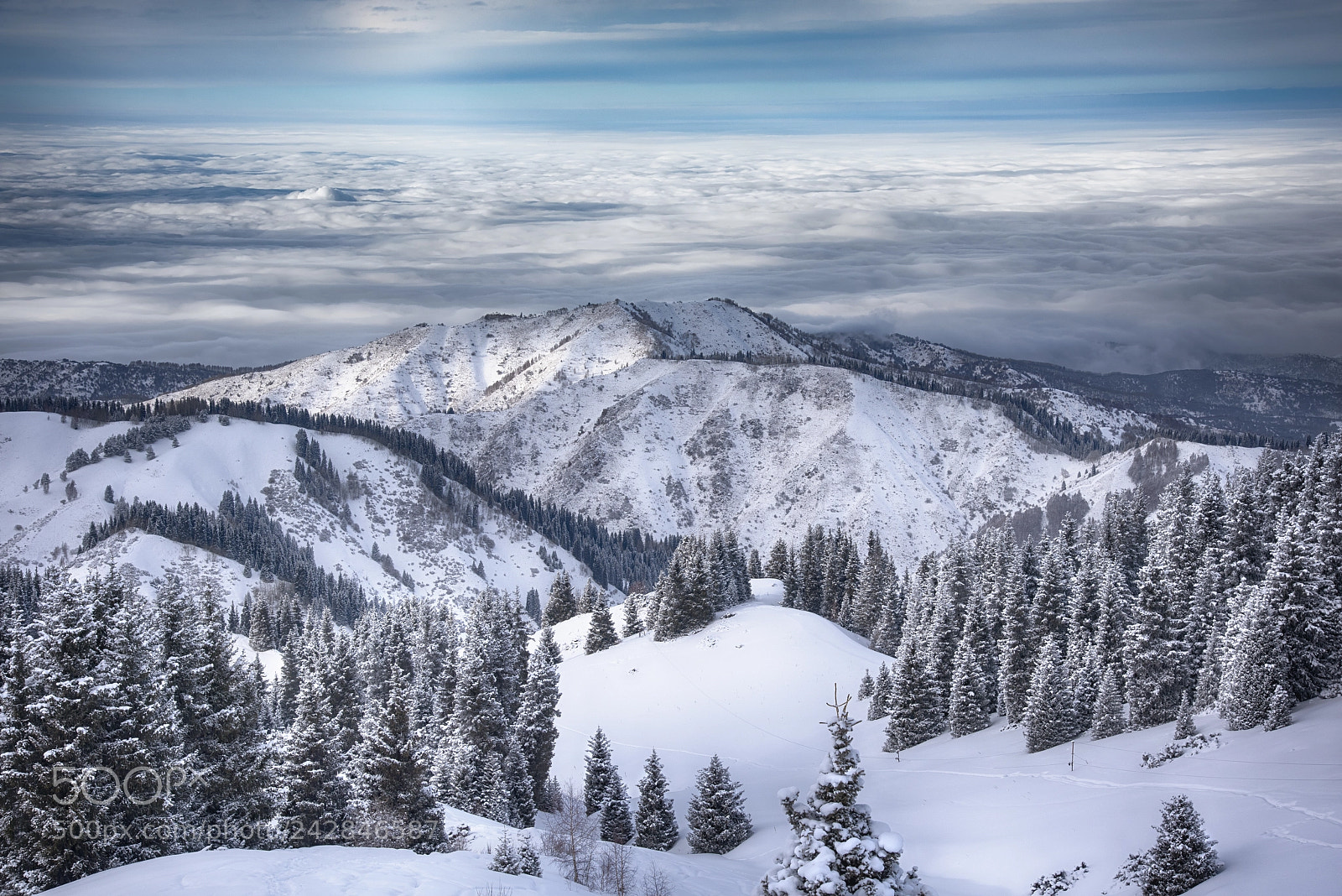 Nikon D810 sample photo. After the snowstorm photography