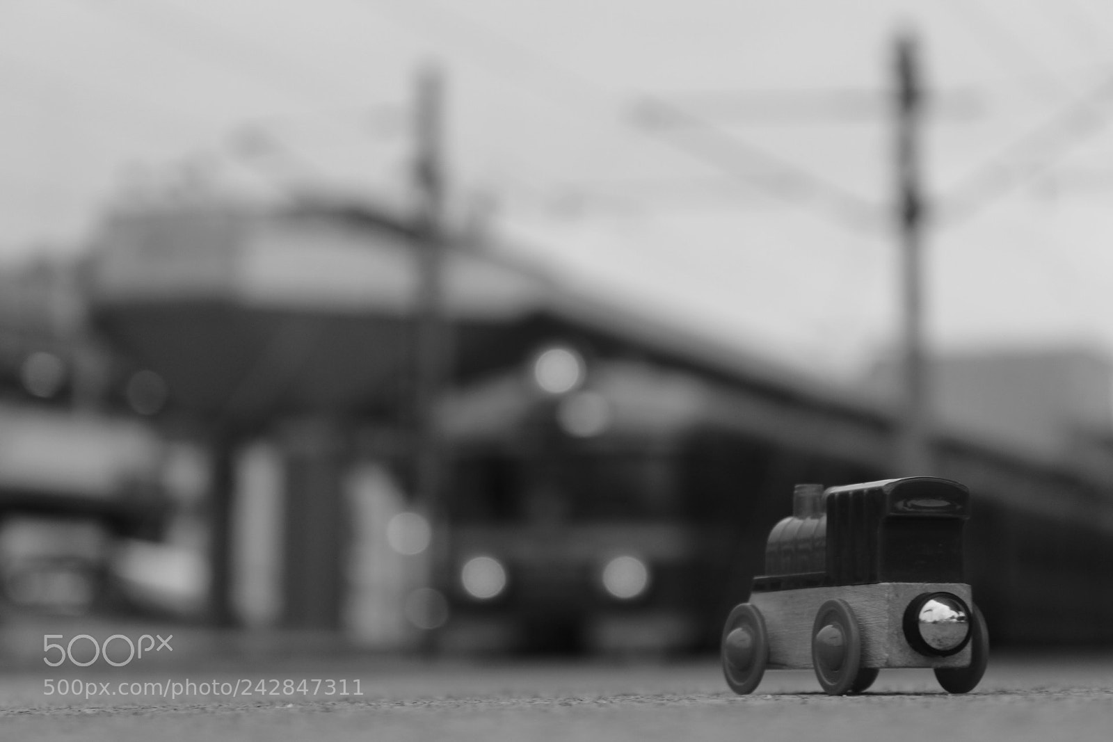 Canon EF-S 18-55mm F3.5-5.6 III sample photo. Little train with big photography