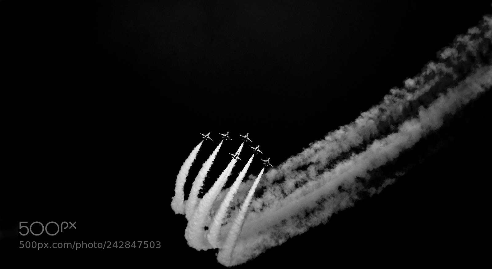 Canon EOS-1D X sample photo. #saudi_hawks photography