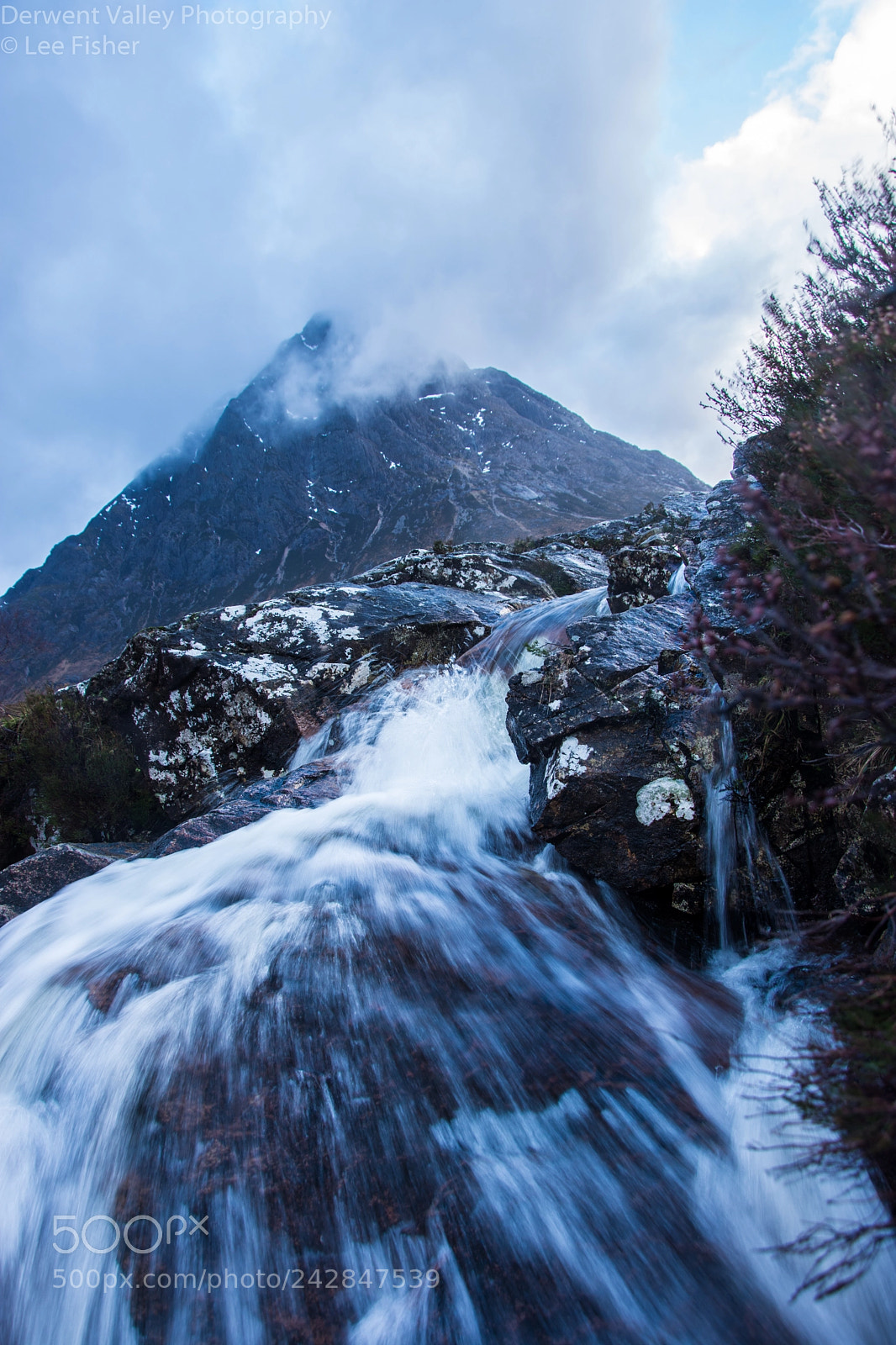 Nikon D7200 sample photo. Down among the heather photography
