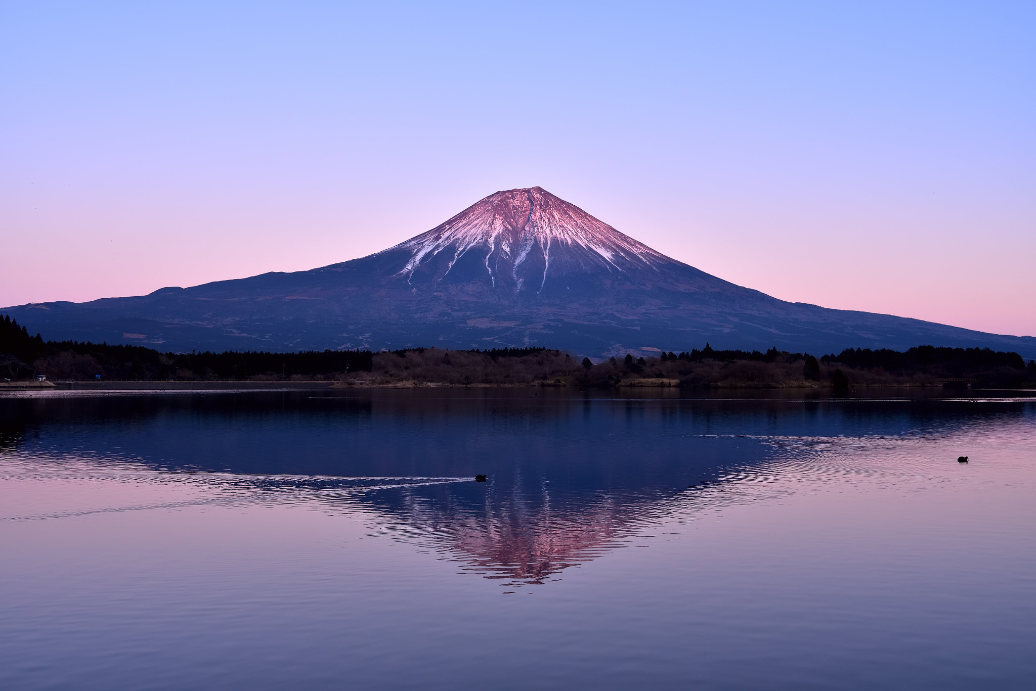 Nikon D750 + Nikon AF-S Nikkor 35mm F1.8G ED sample photo. Mt. fuji dyed in a sunset color　　夕陽に染まる富士山 photography