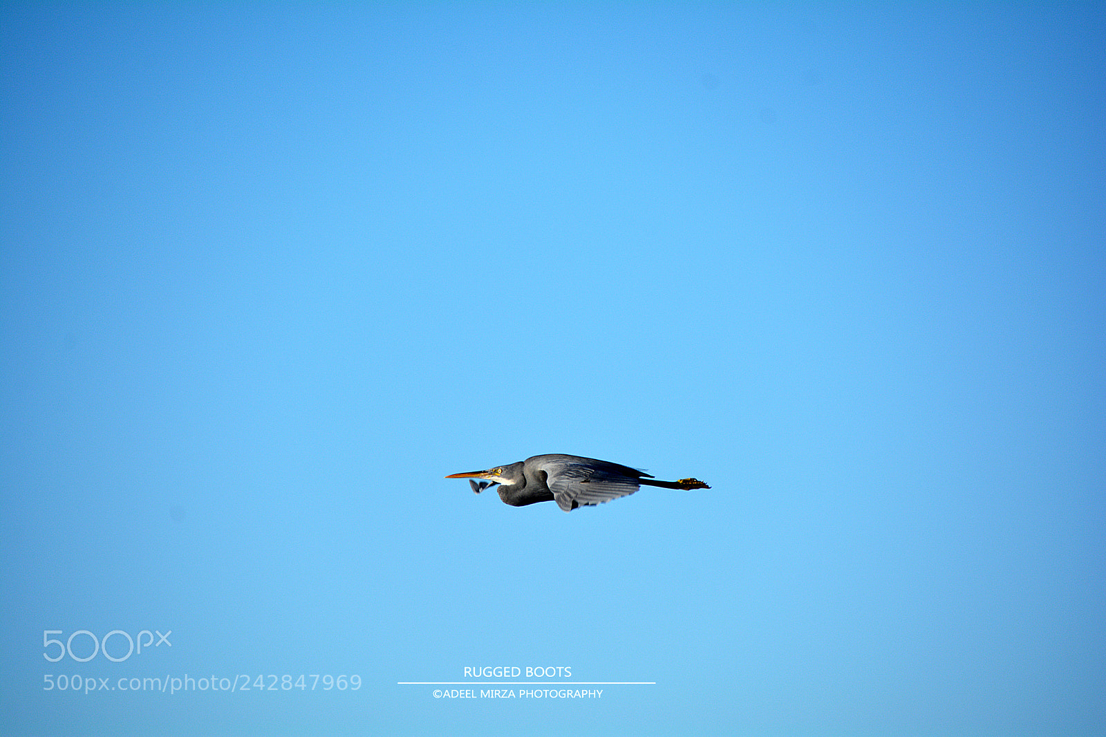 Nikon D7100 sample photo. On a mission photography