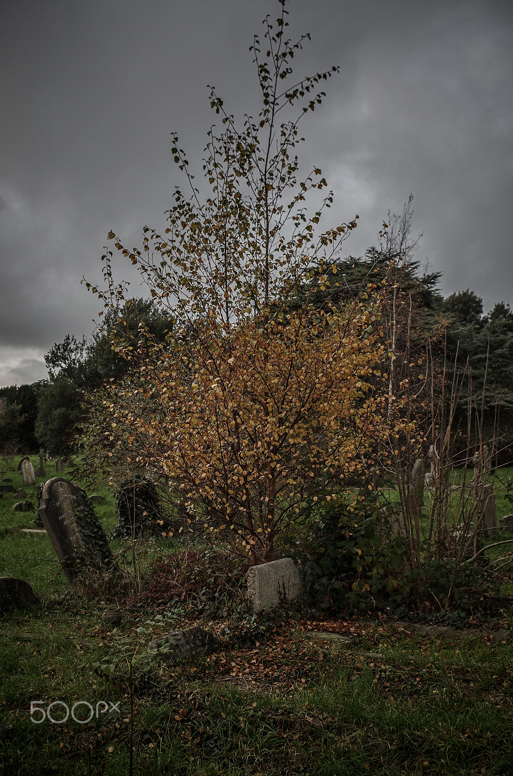 Pentax K-50 sample photo. Cemetery photography