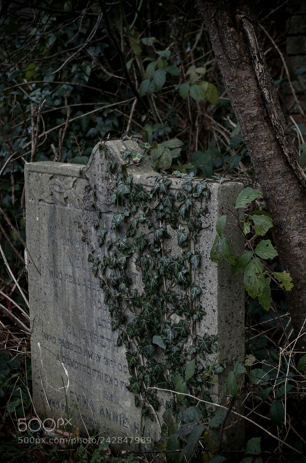 Pentax K-50 sample photo. Cemetery photography