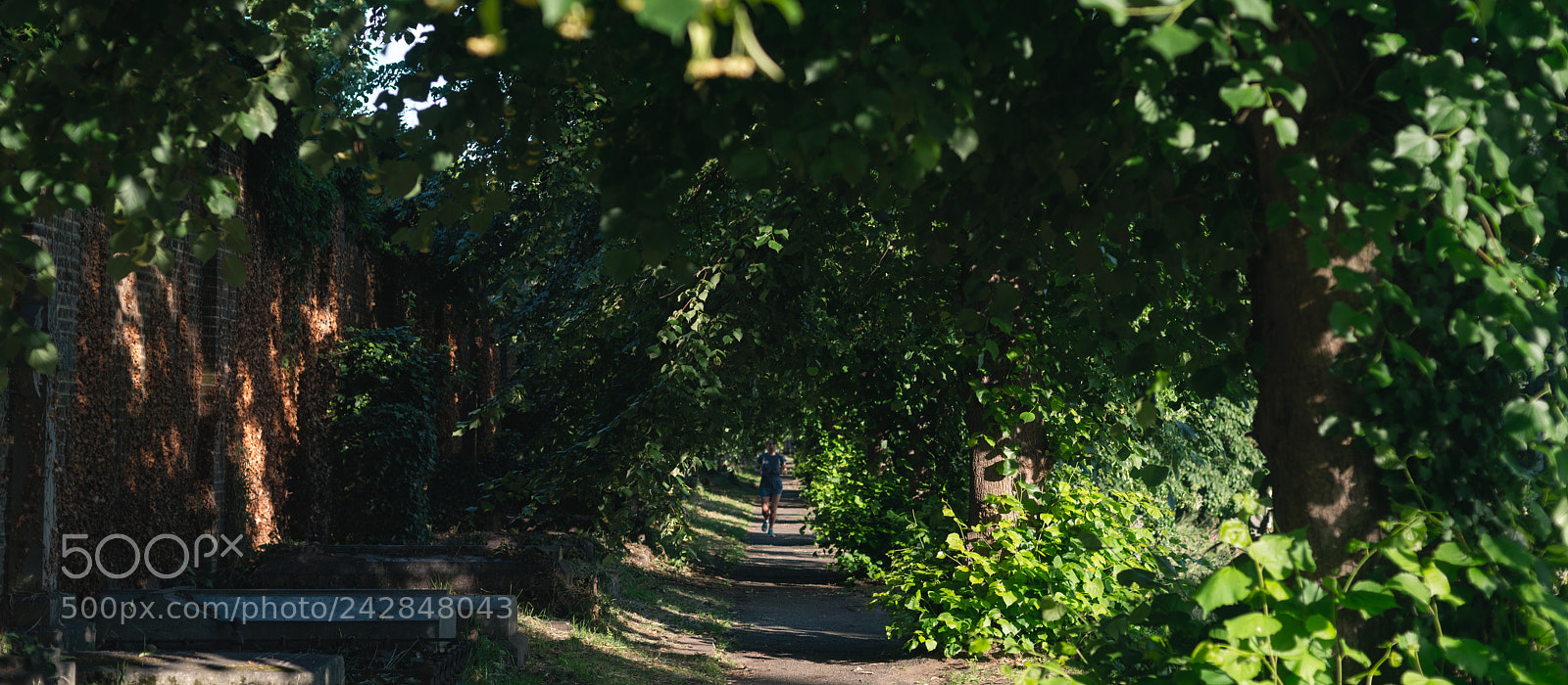 Nikon D800E sample photo. Cinematic trail photography