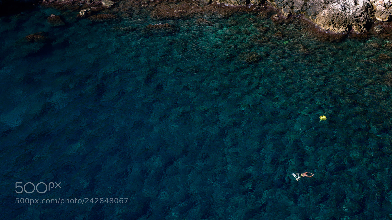 Nikon D800E sample photo. Summer swimming photography