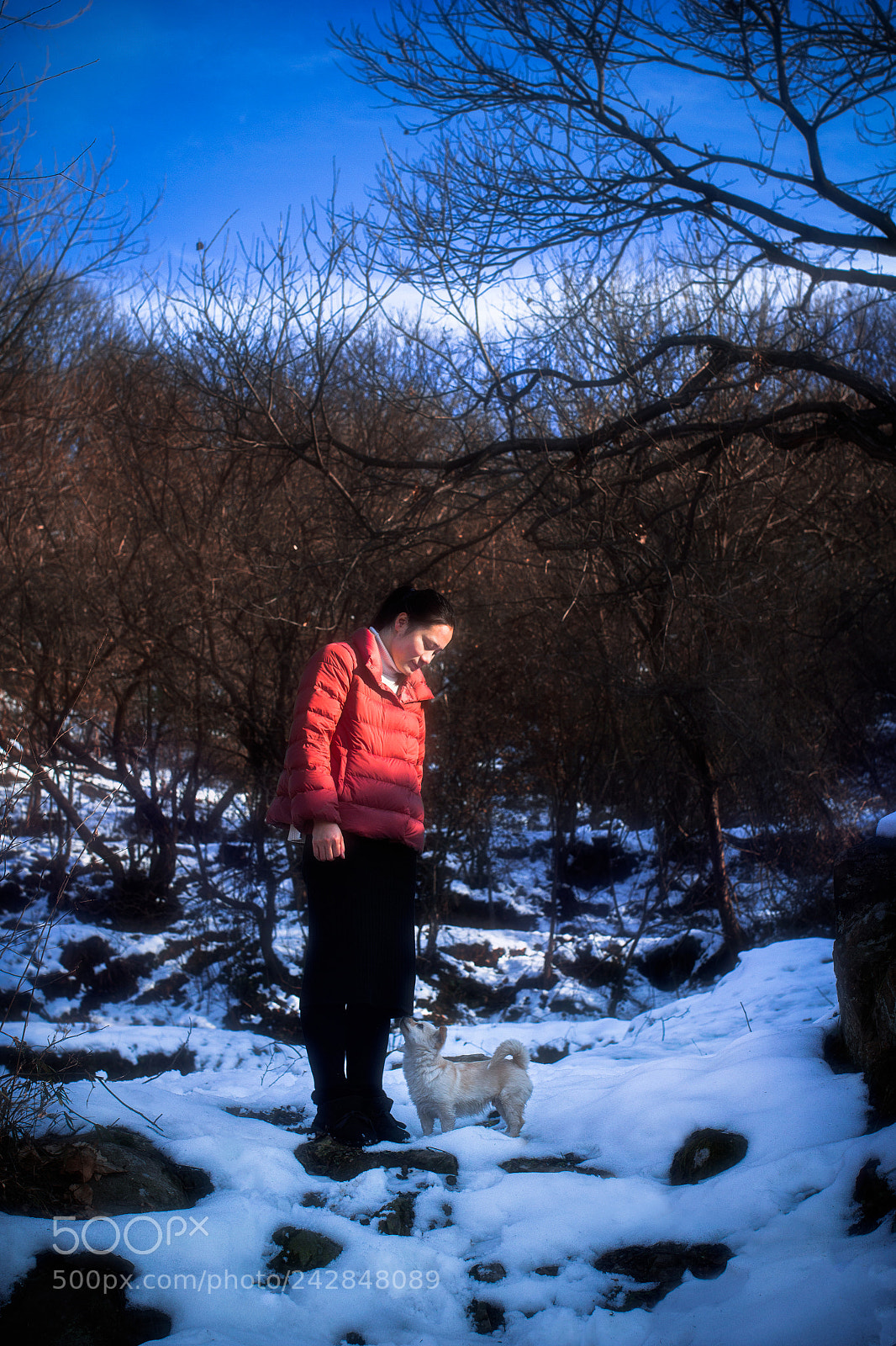 Canon EOS 60D sample photo. Family photography