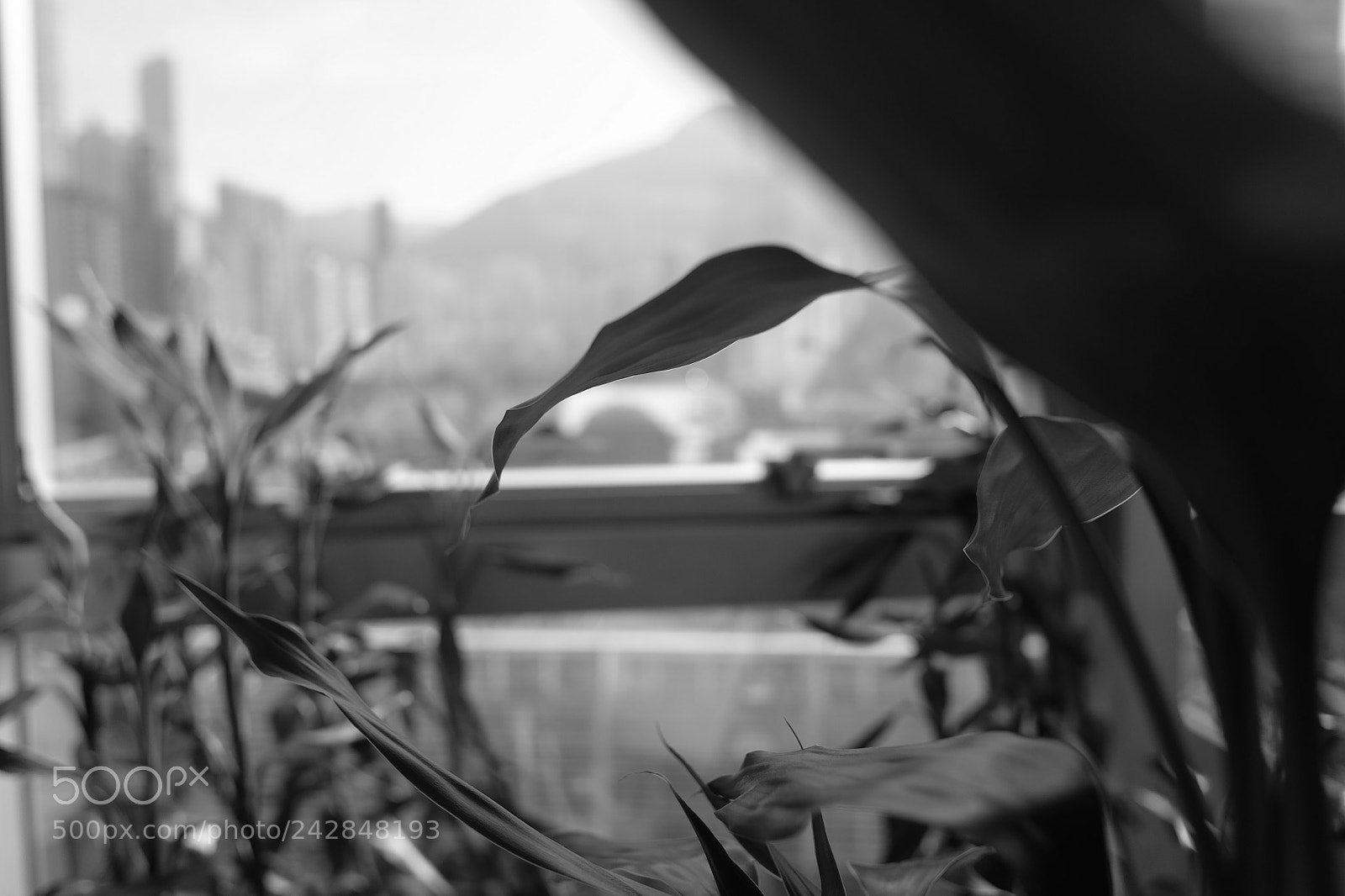 Fujifilm X70 sample photo. Black and white scene photography