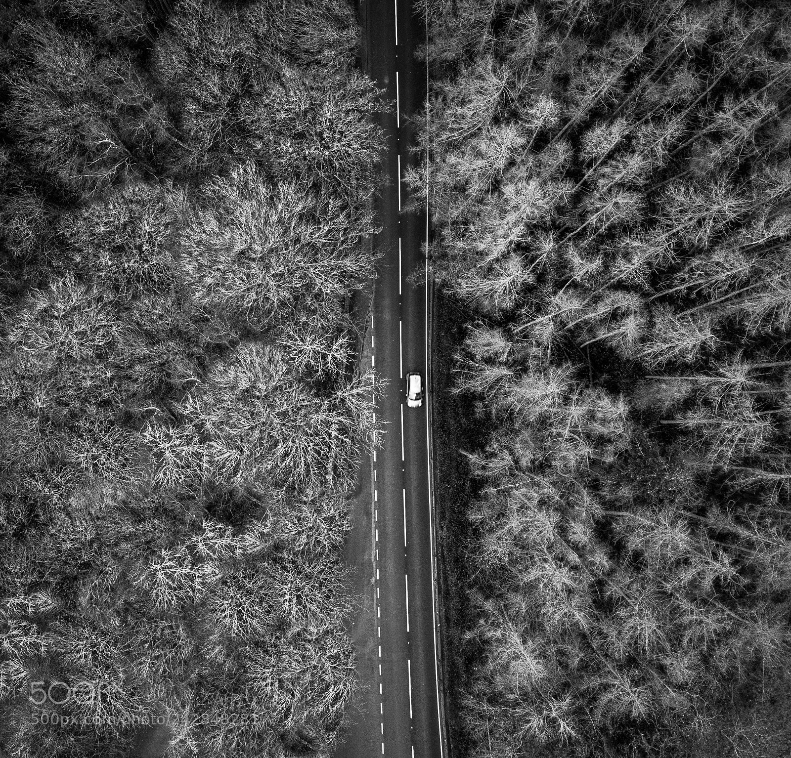DJI FC220 sample photo. Untitled photography