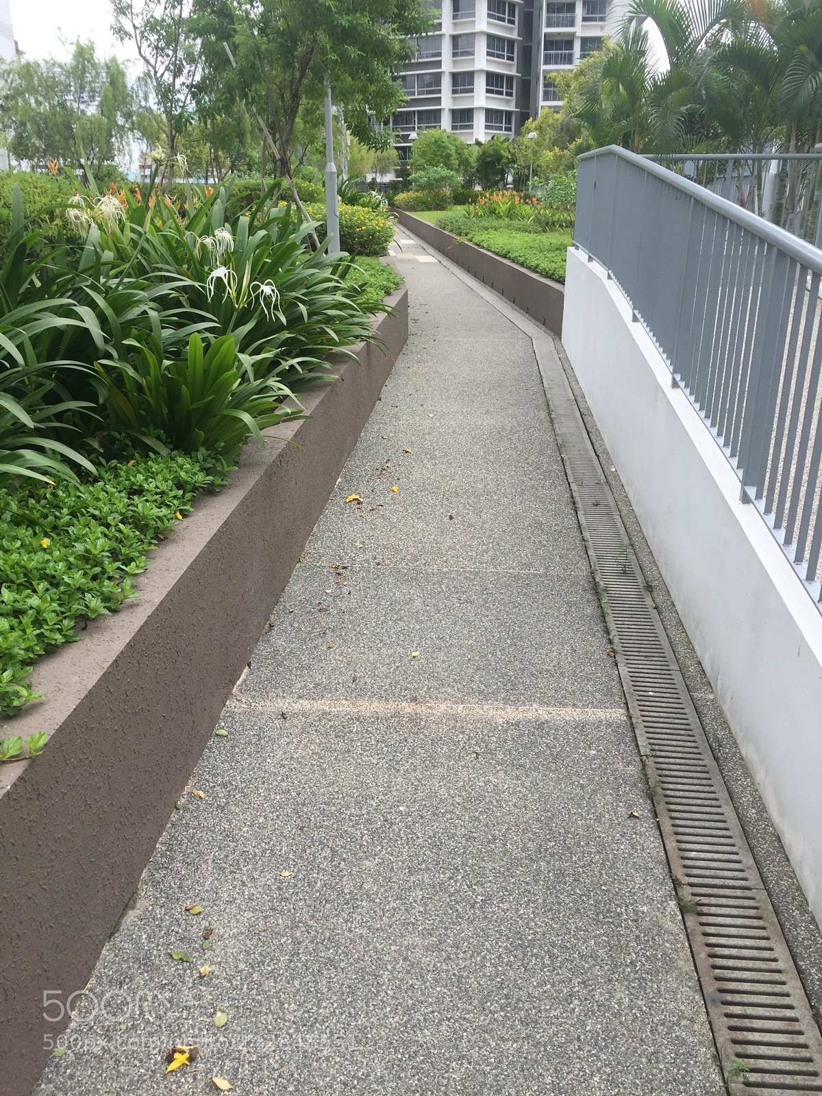 Apple iPhone 6 sample photo. 08. boon keng, singapore photography