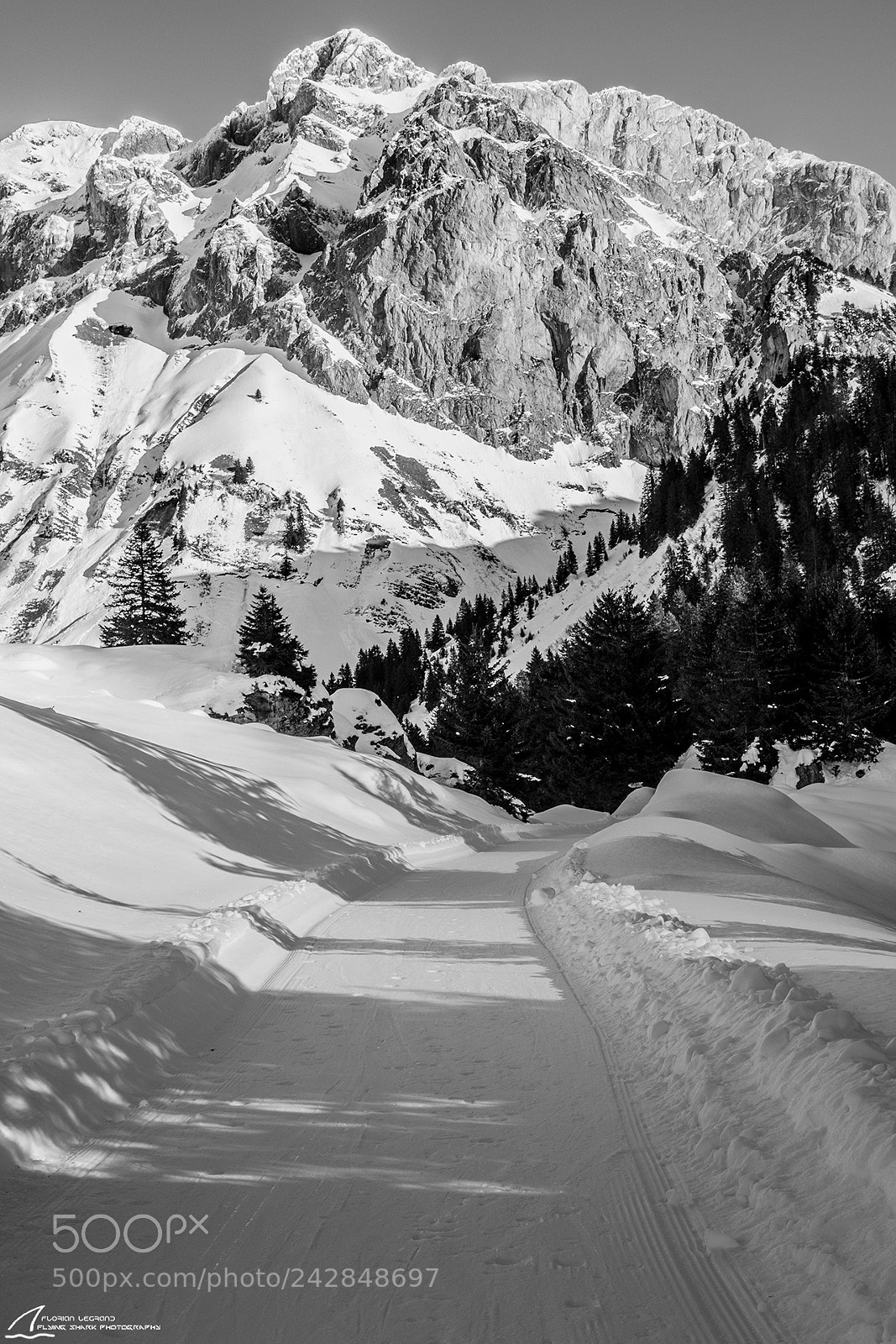 Canon EOS 7D Mark II sample photo. Silence in the snow photography