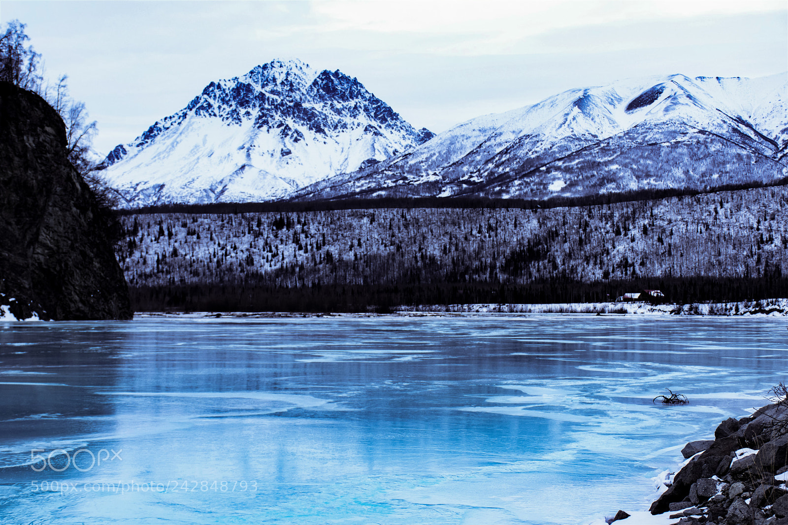 Nikon D7200 sample photo. Winter is here photography