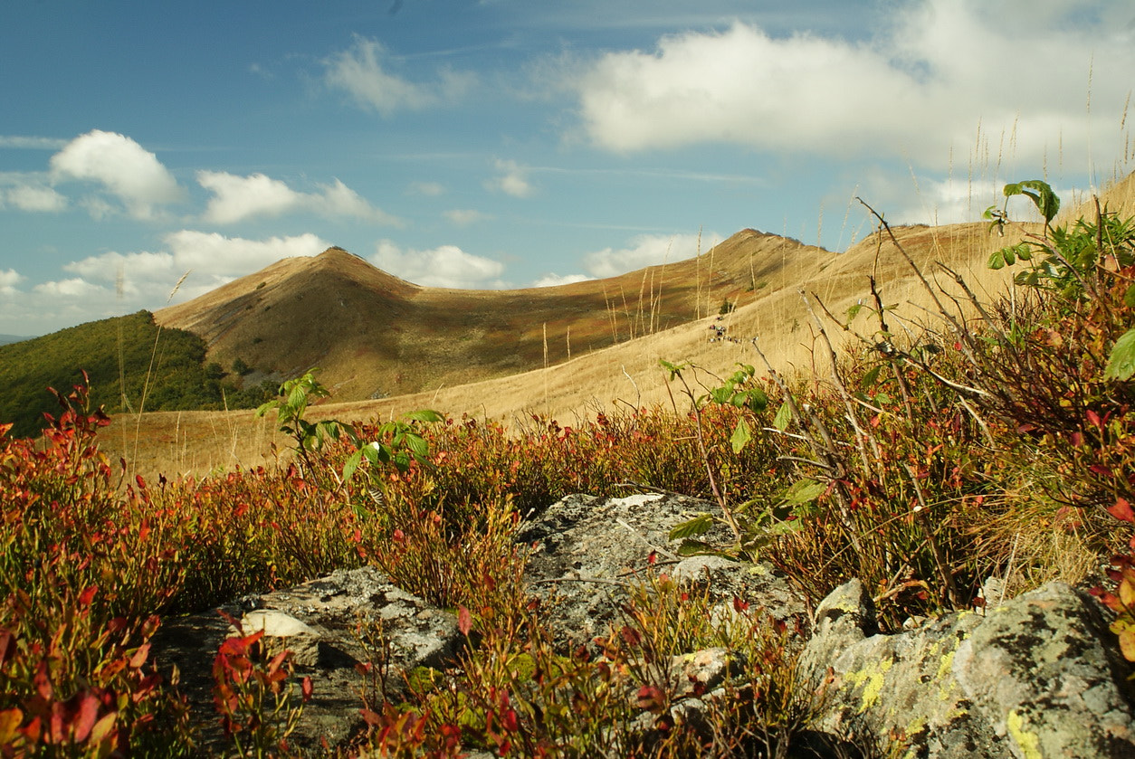 Sony Alpha DSLR-A300 sample photo. Autumn in bieszczady photography