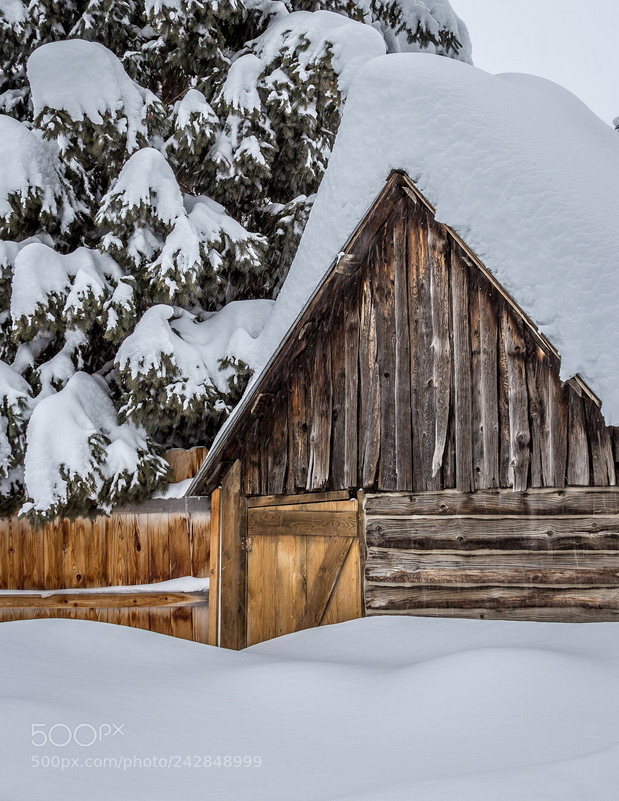 Canon EOS 60D sample photo. Snowed in photography