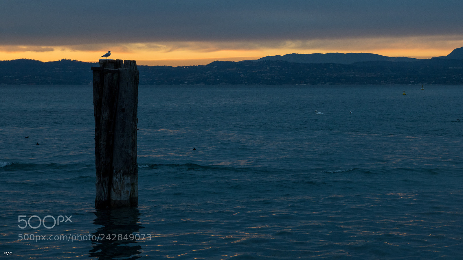 Nikon D850 sample photo. At nightfall photography