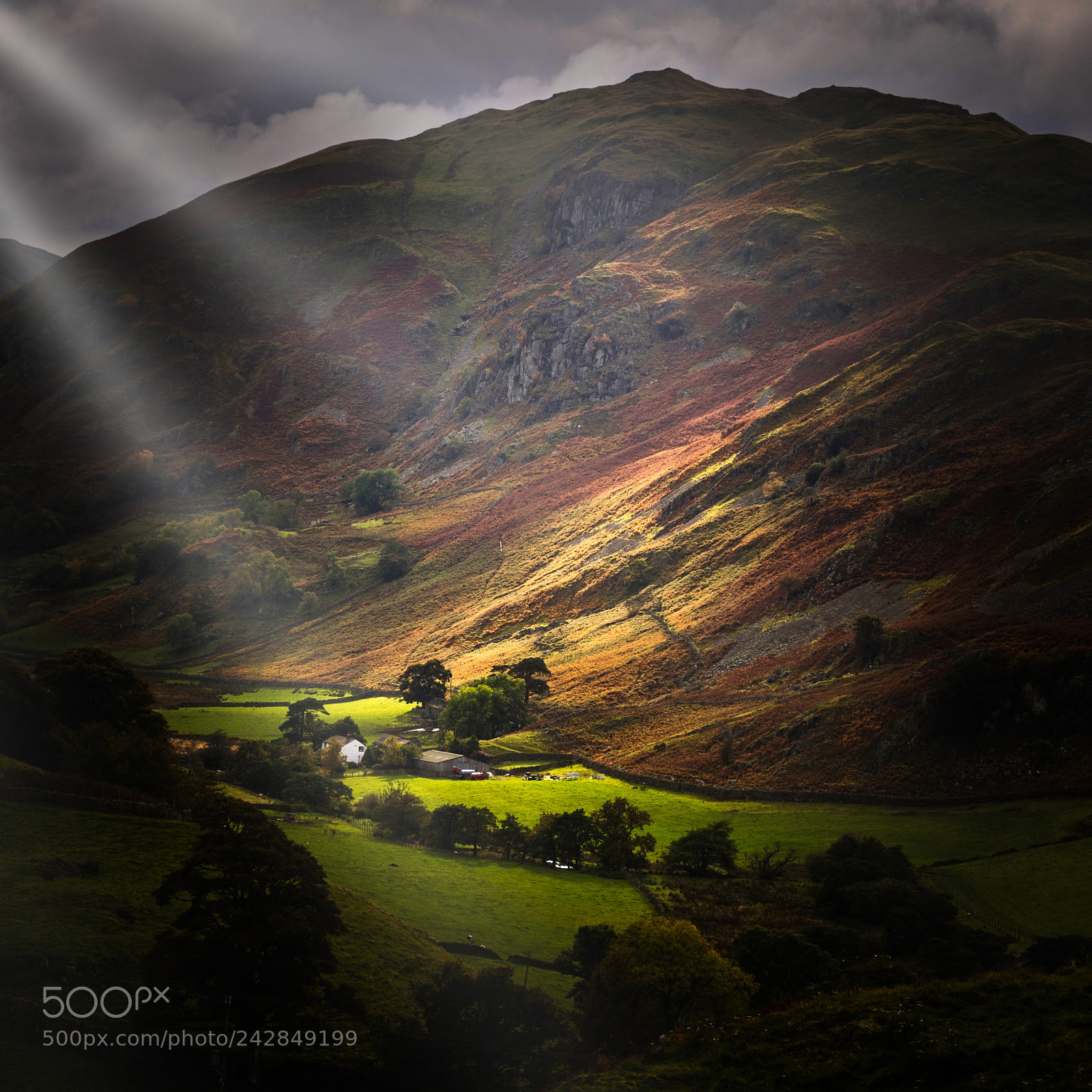 Canon EOS 7D Mark II sample photo. The lake district photography