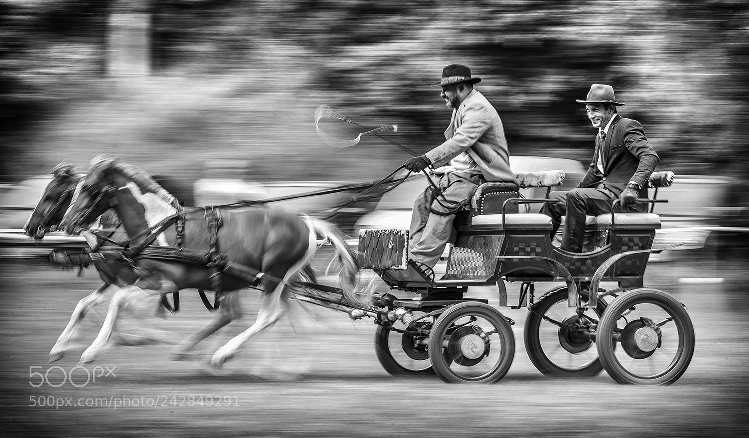 Nikon D610 sample photo. Stowaway photography