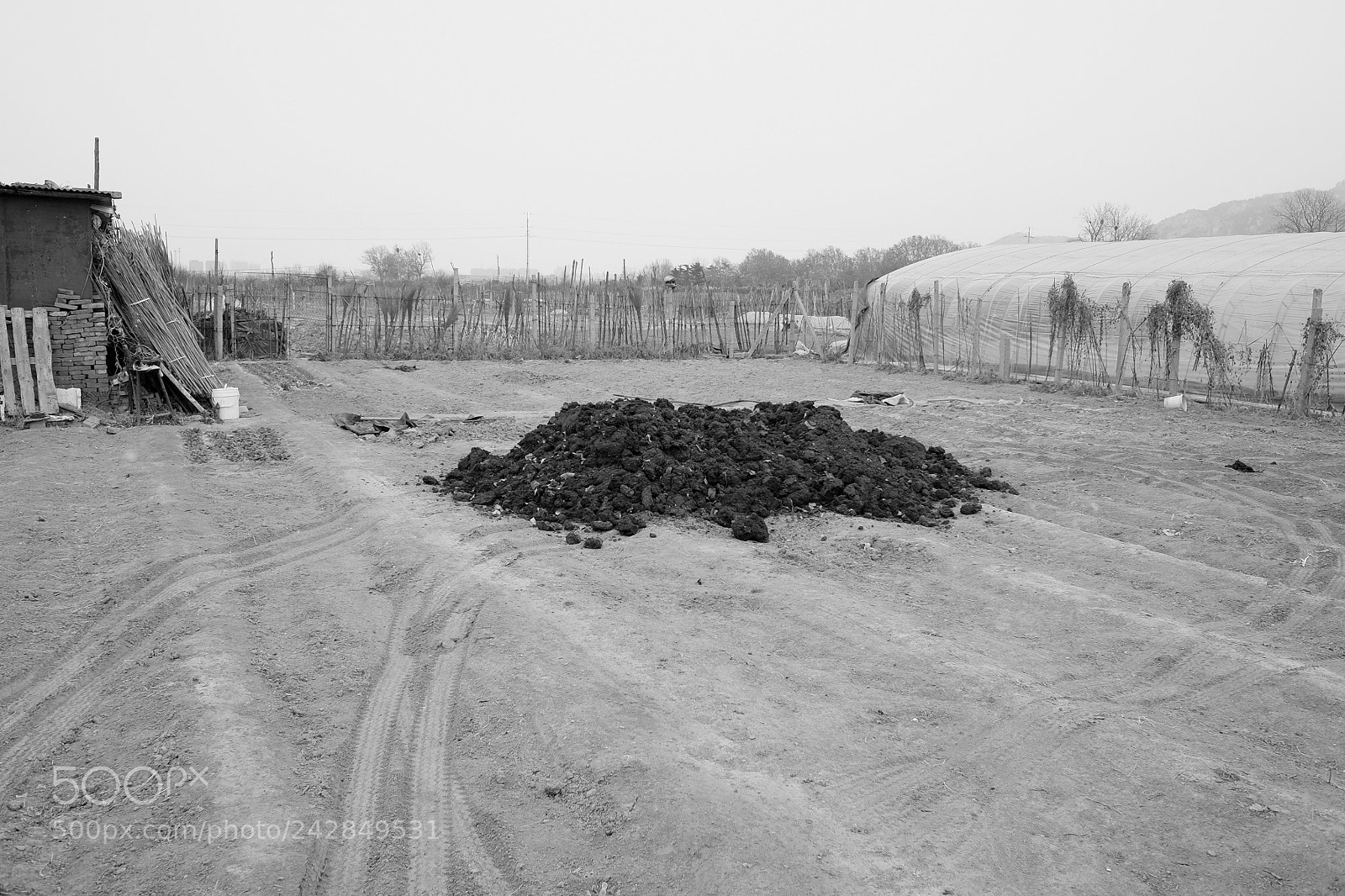 Fujifilm X70 sample photo. Title photography