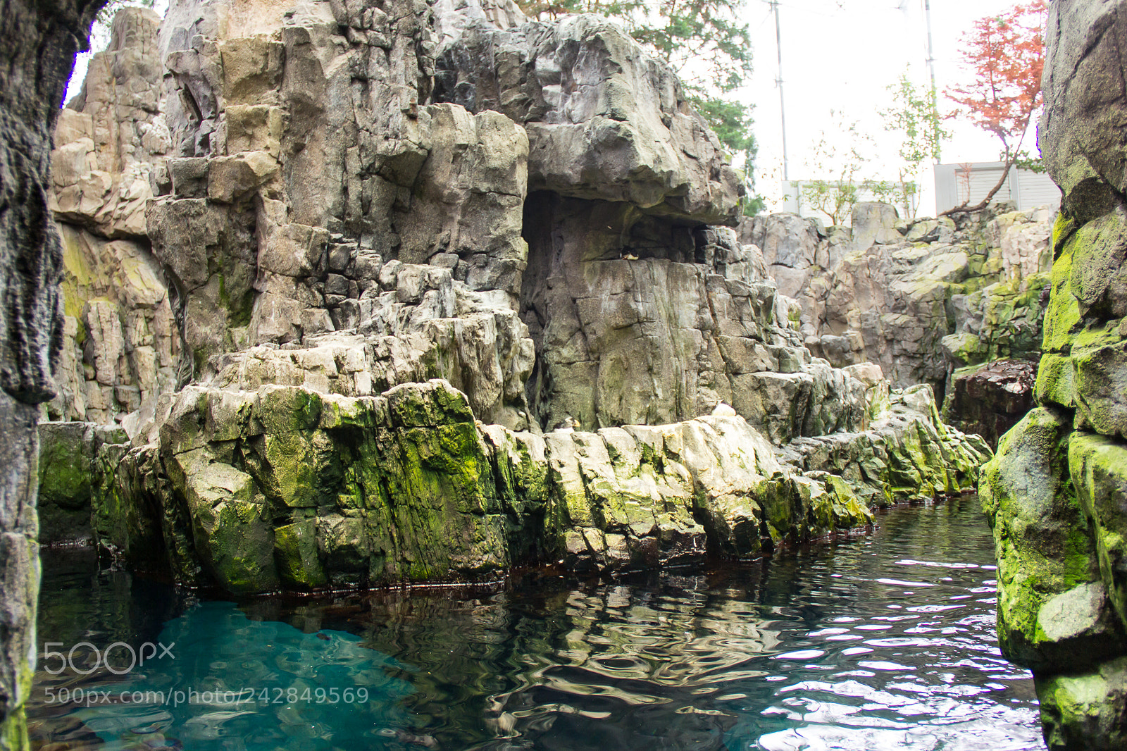 Canon EOS 60D sample photo. Penguin caves lisbon photography
