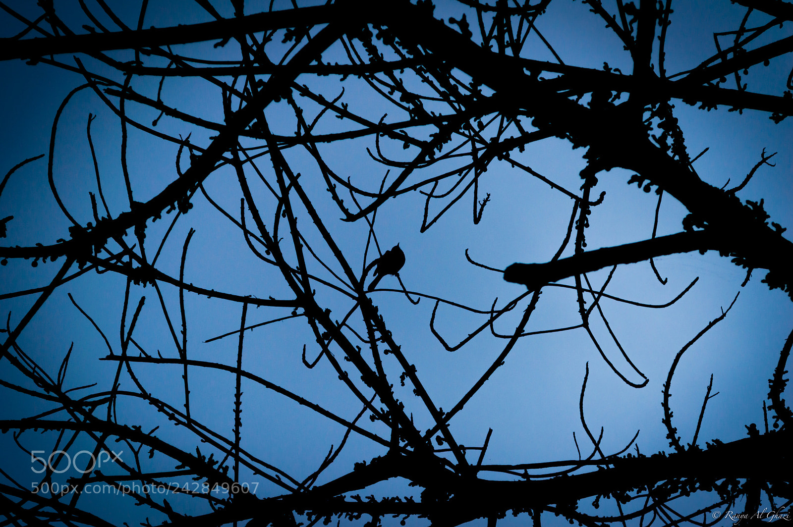 Nikon D3200 sample photo. Untitled photography