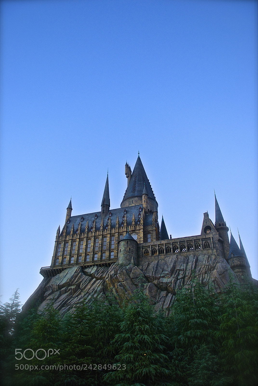 Nikon D80 sample photo. The wizarding world of photography