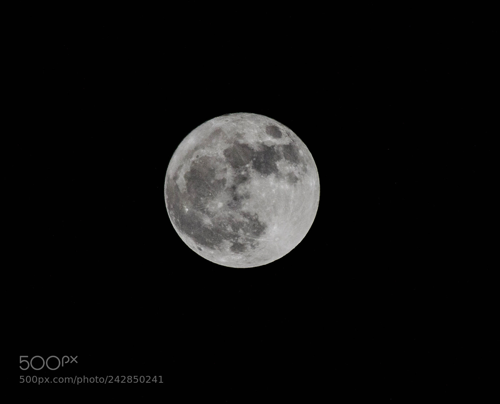 Nikon D5100 sample photo. Moon photography