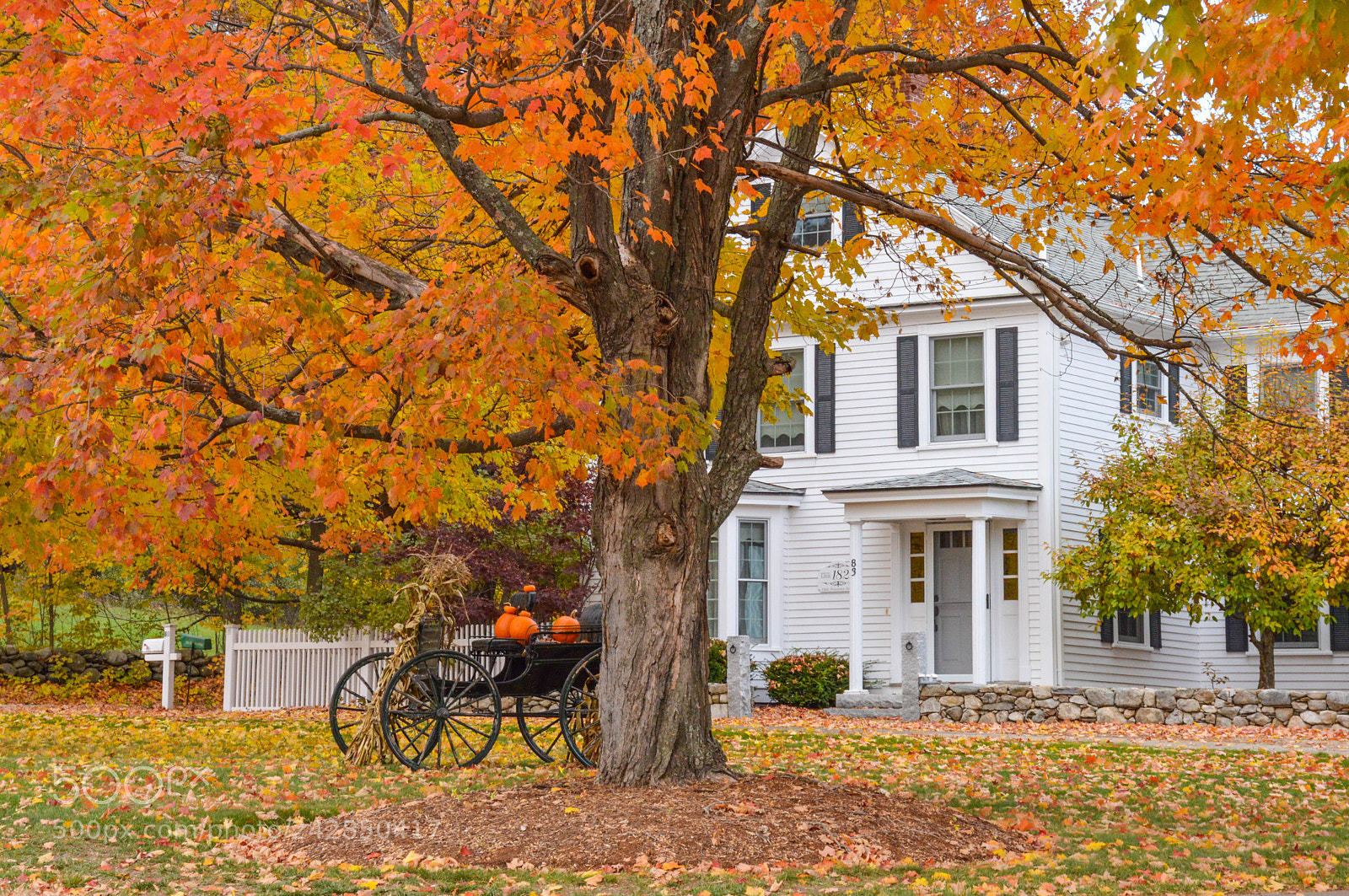 Nikon D3200 sample photo. Country home photography