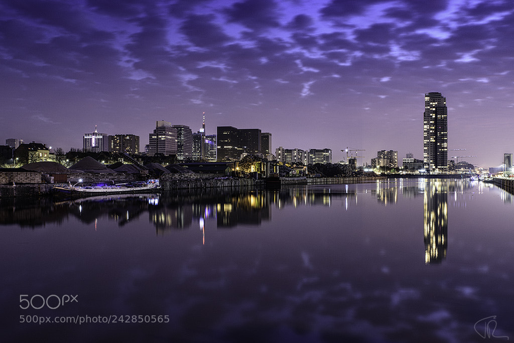 Nikon D810 sample photo. Brussels skyline photography
