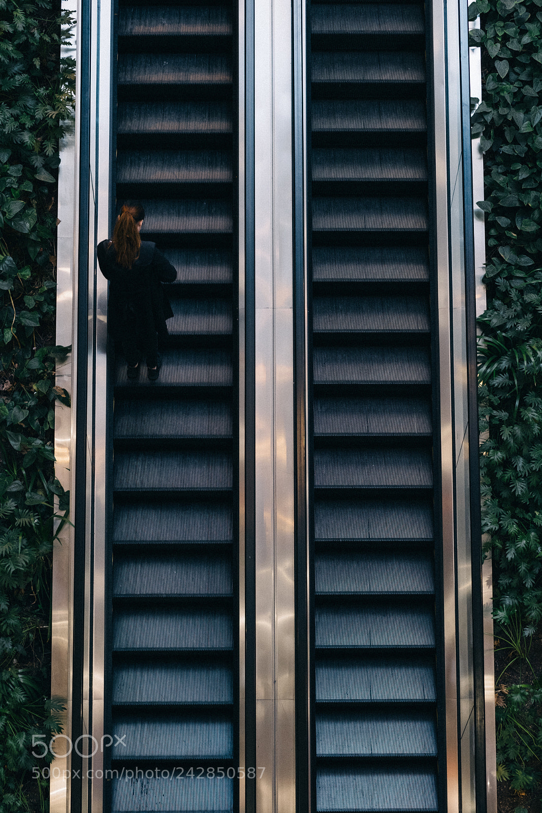 Fujifilm X-T2 sample photo. From where i stand. photography