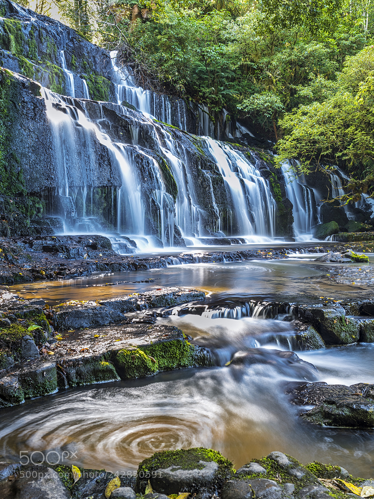 Olympus OM-D E-M1 Mark II sample photo. Purakaunui falls photography