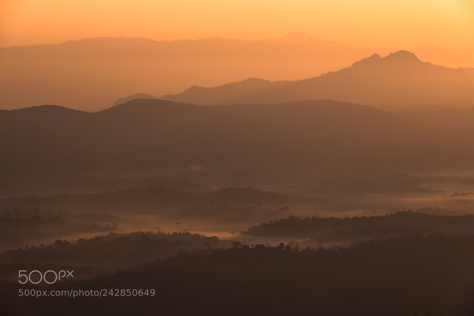 Nikon D850 sample photo. Sunrise in the mist photography