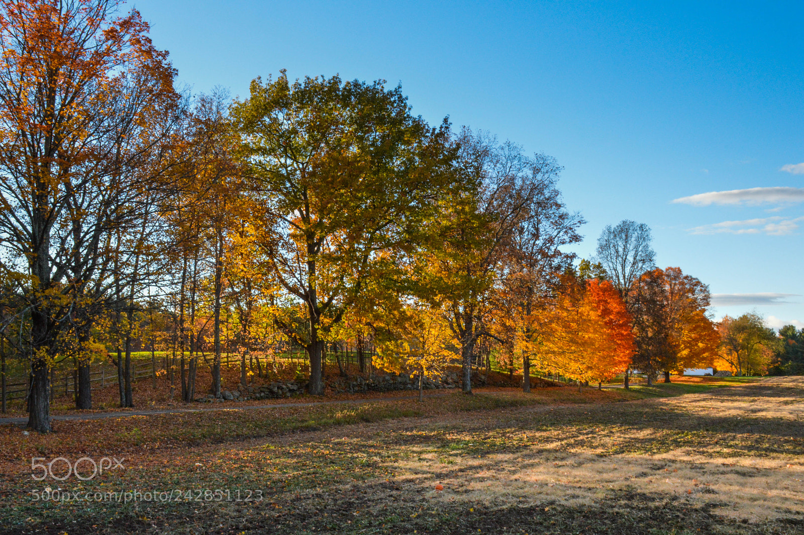 Nikon D3200 sample photo. Stonewall farm photography