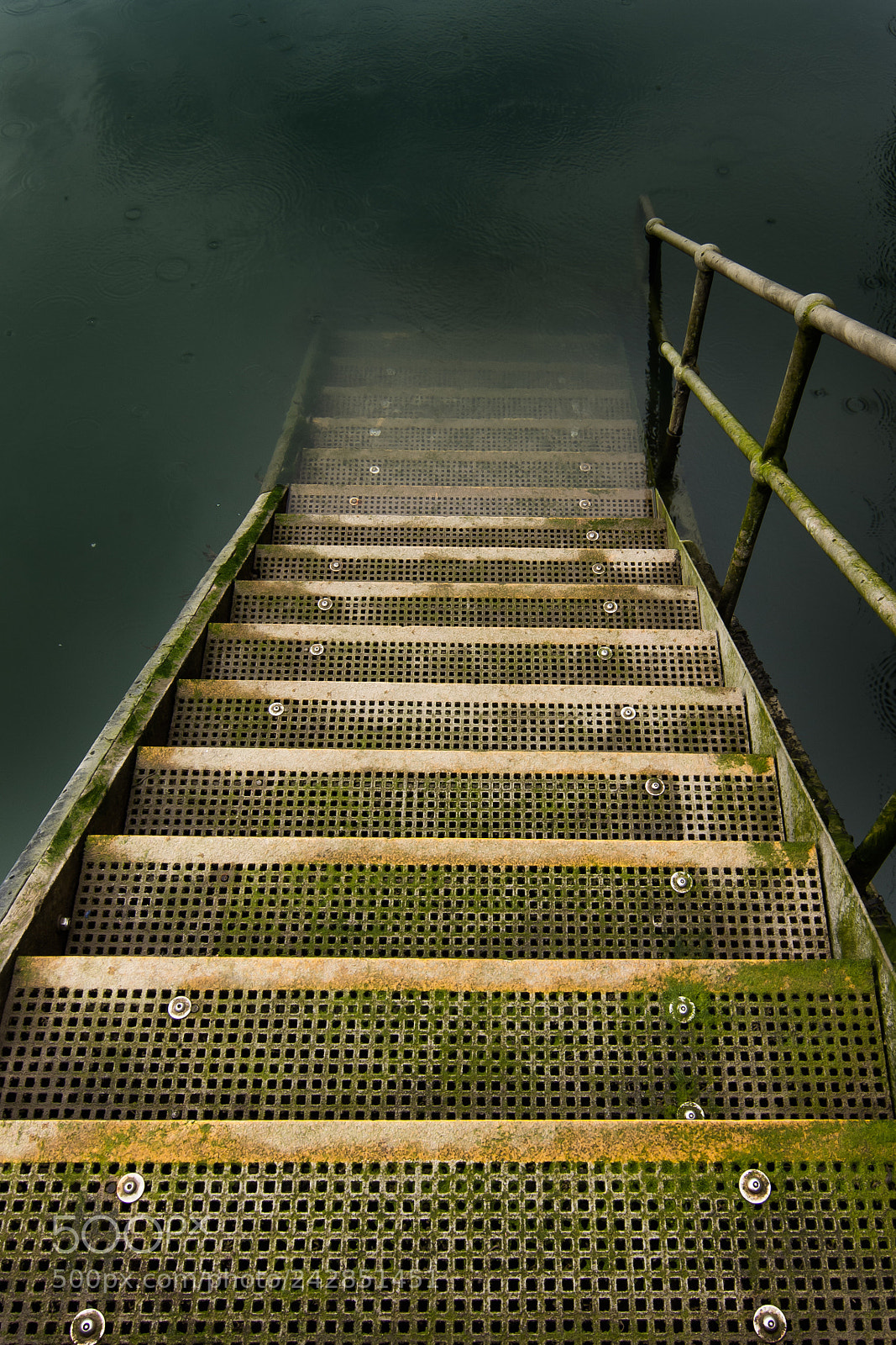 Nikon D7200 sample photo. Deep water photography
