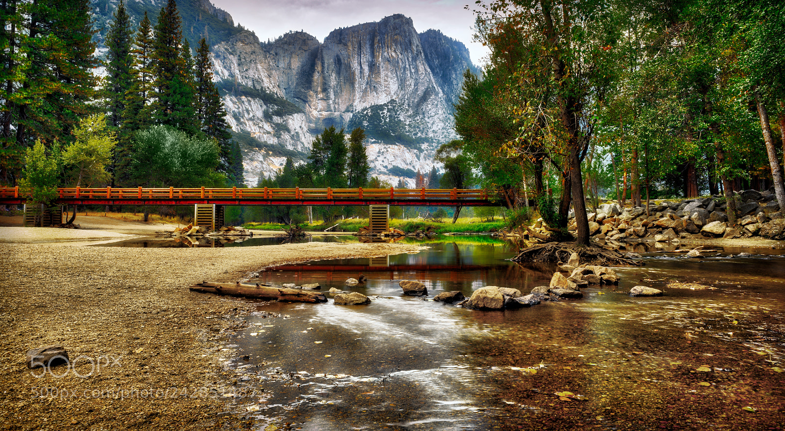 Nikon D810 sample photo. Yosemite national park photography