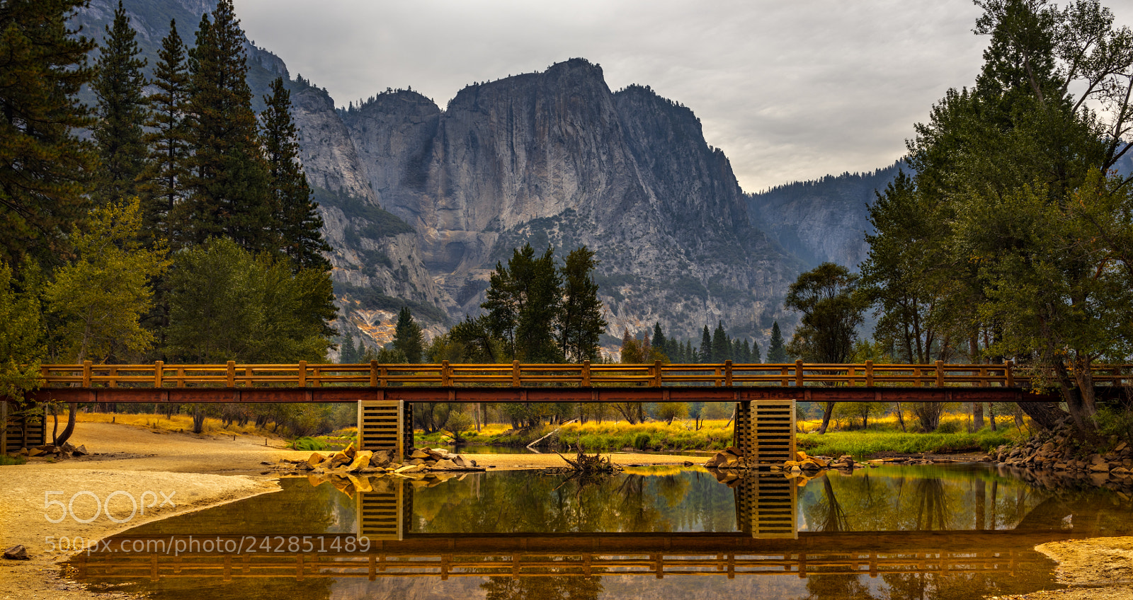 Nikon D810 sample photo. Yosemite national park photography
