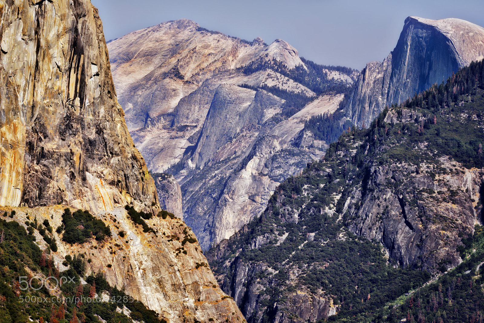 Nikon D810 sample photo. Yosemite national park photography