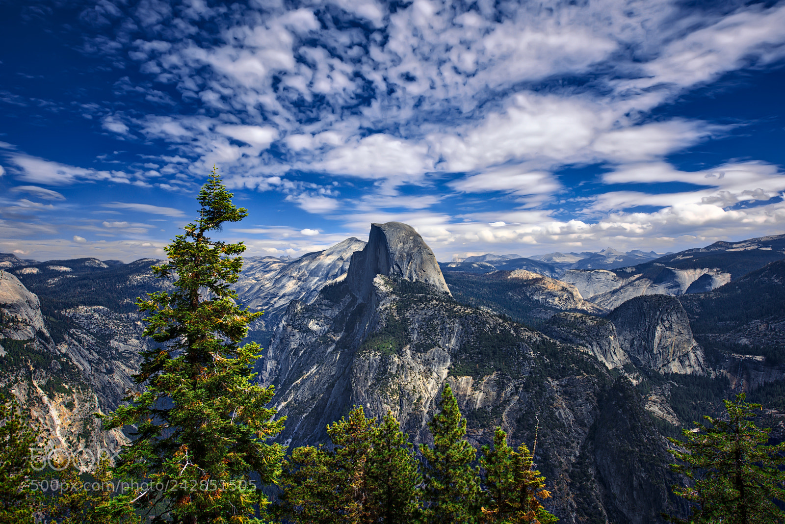 Nikon D810 sample photo. Yosemite national park photography