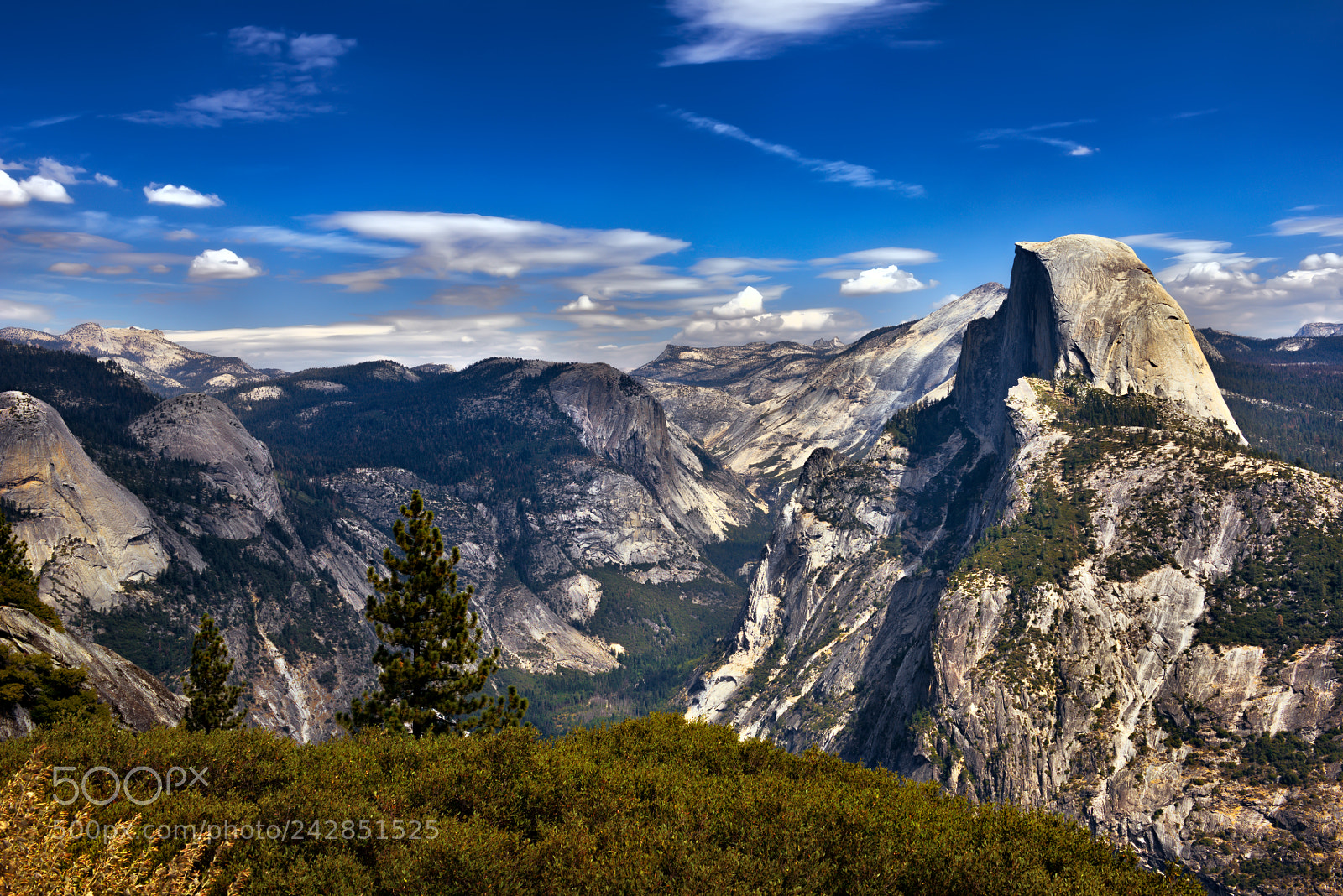 Nikon D810 sample photo. Yosemite national park photography