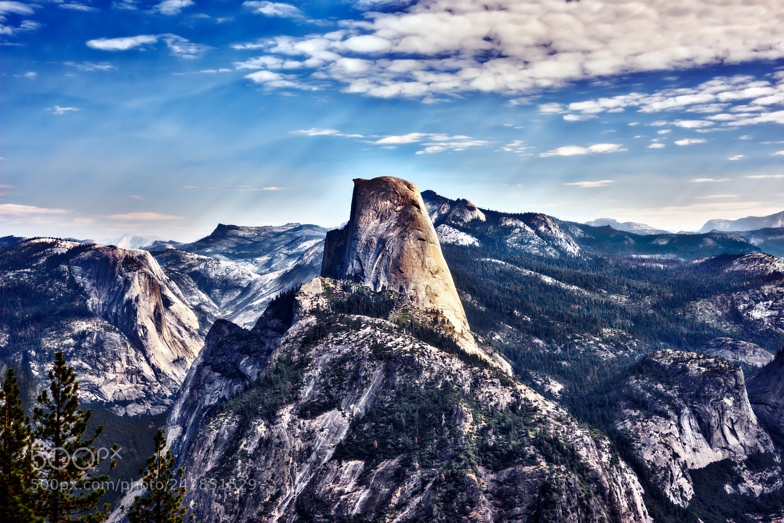 Nikon D810 sample photo. Yosemite national park photography