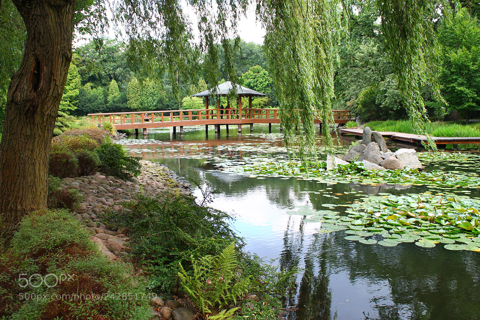 Canon EOS 1100D (EOS Rebel T3 / EOS Kiss X50) sample photo. Japanese garden in wroclaw photography
