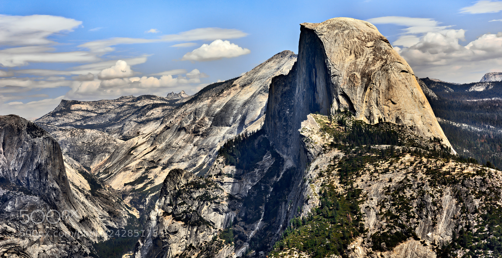 Nikon D810 sample photo. Yosemite national park photography