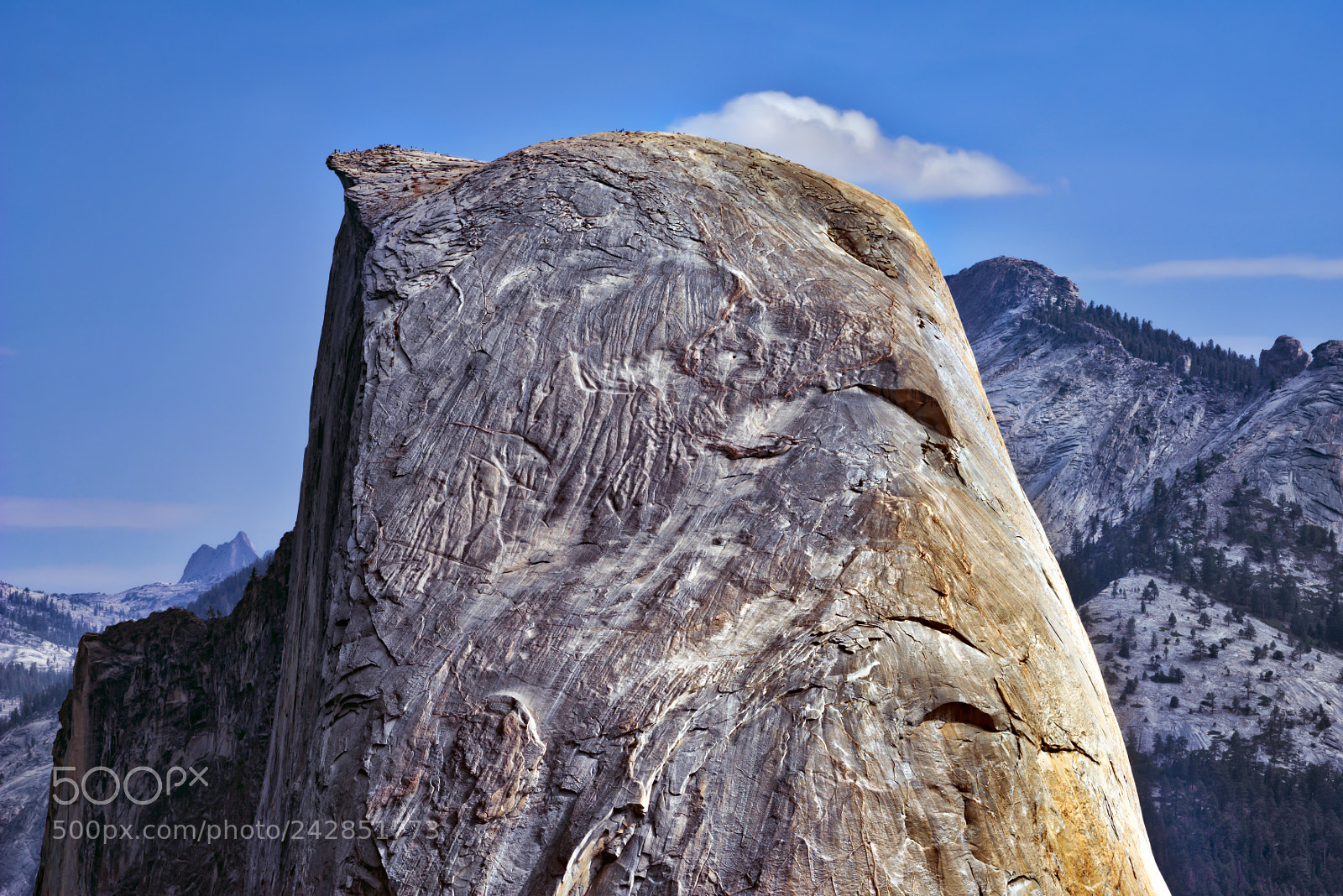Nikon D810 sample photo. Yosemite national park photography