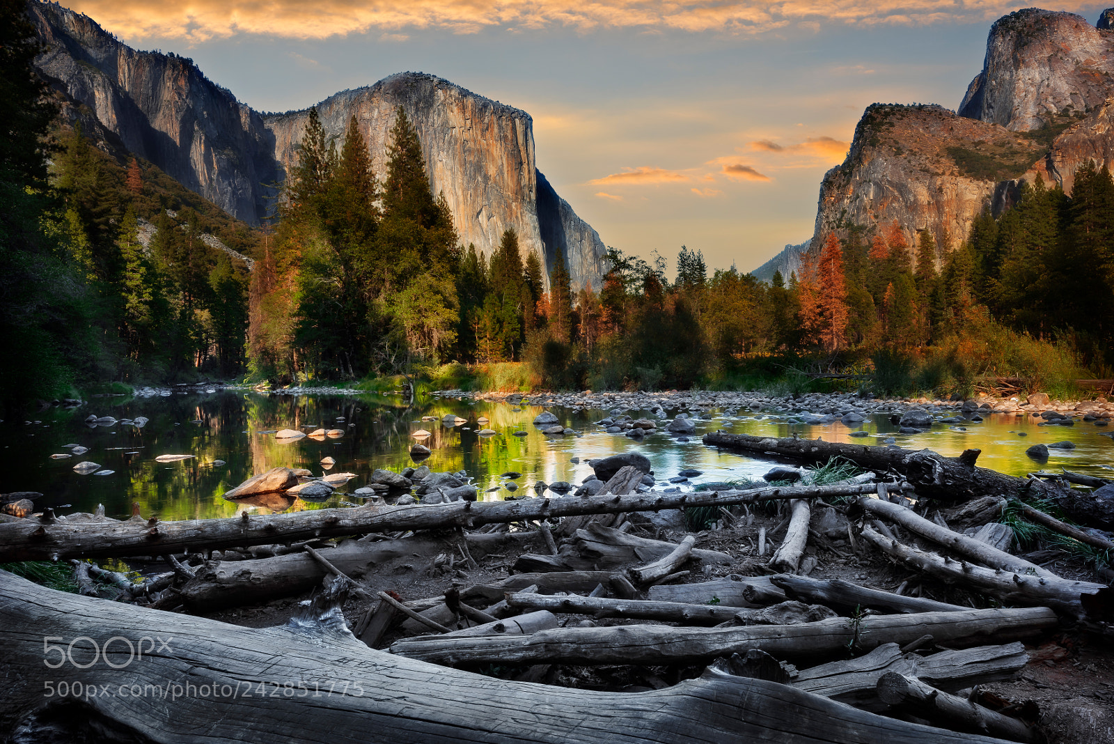Nikon D810 sample photo. Yosemite national park photography