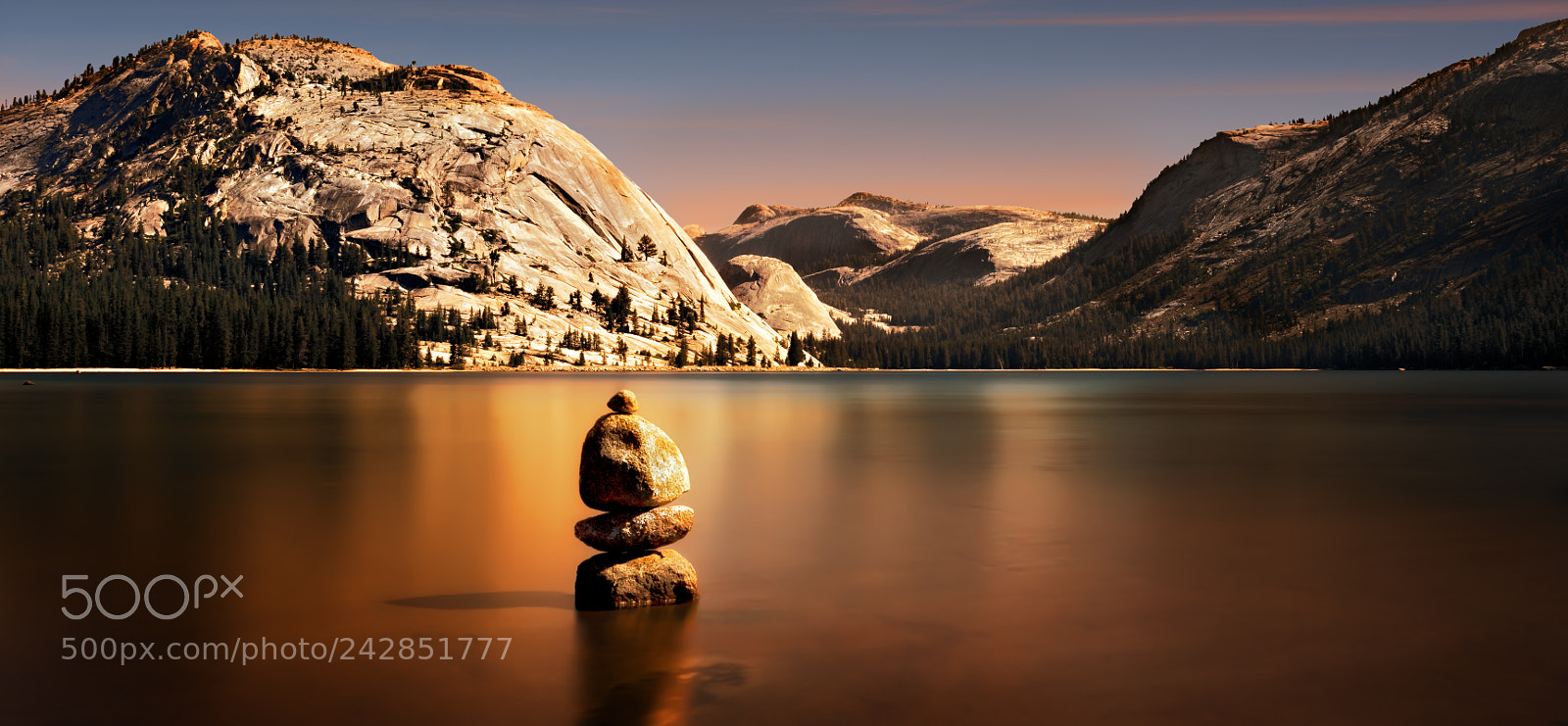 Nikon D810 sample photo. Yosemite national park photography