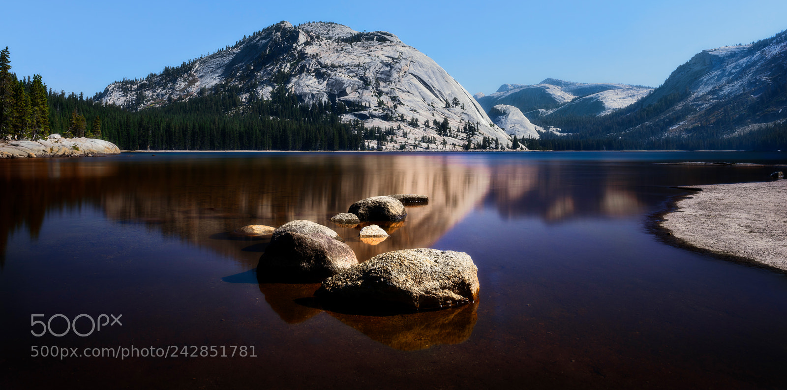 Nikon D810 sample photo. Yosemite national park photography